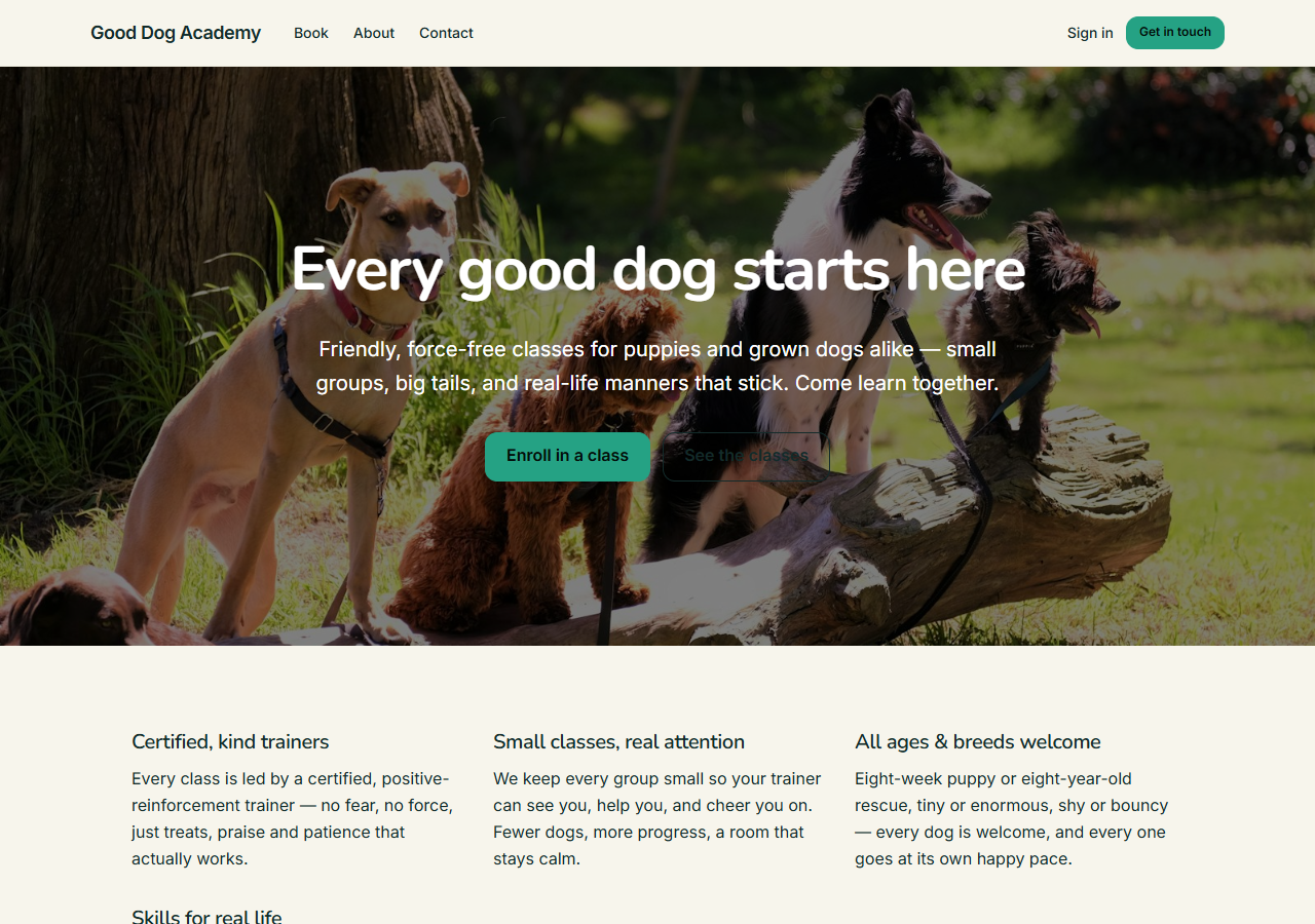 Dog Training (Classes) preview