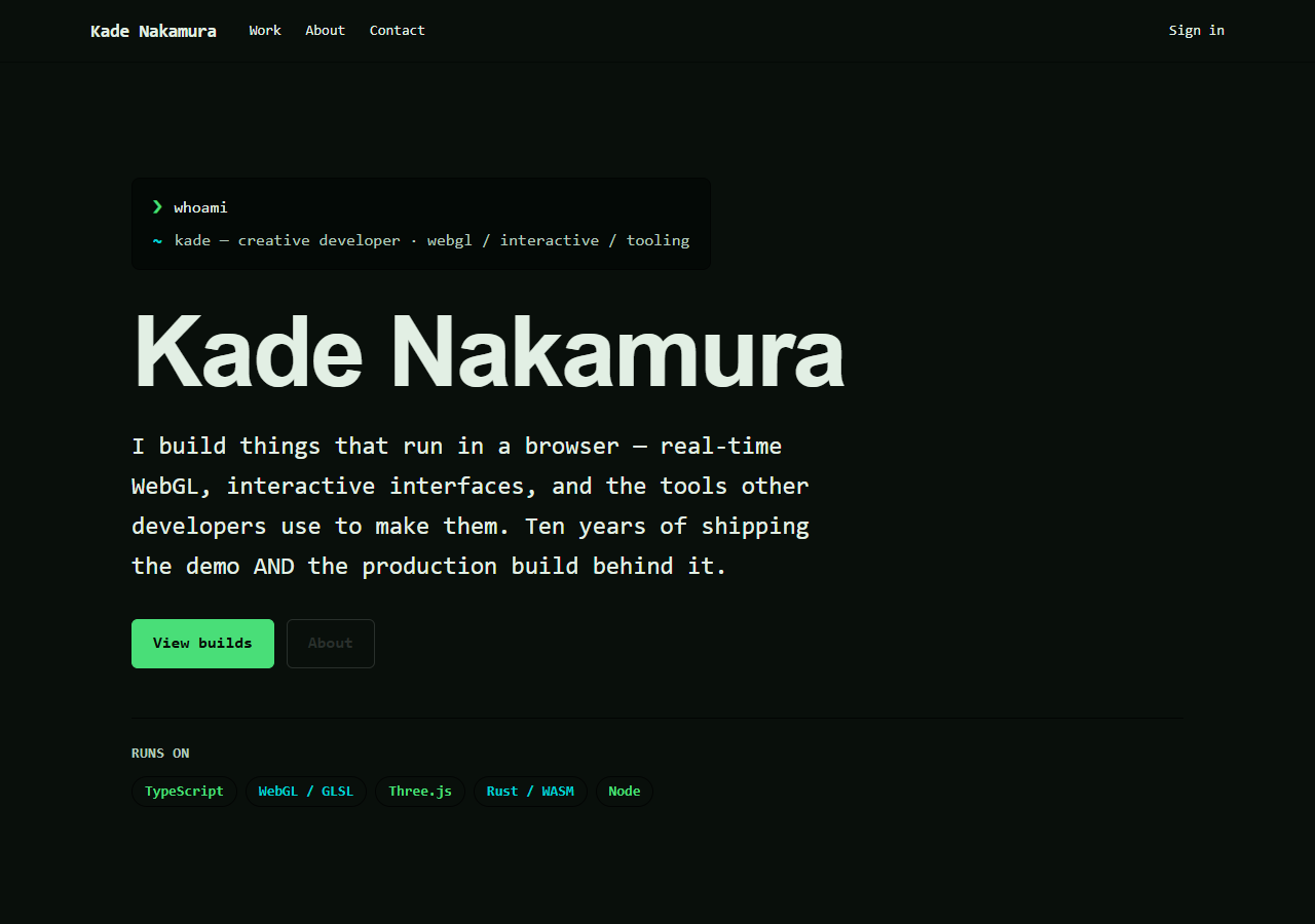 Developer Portfolio preview