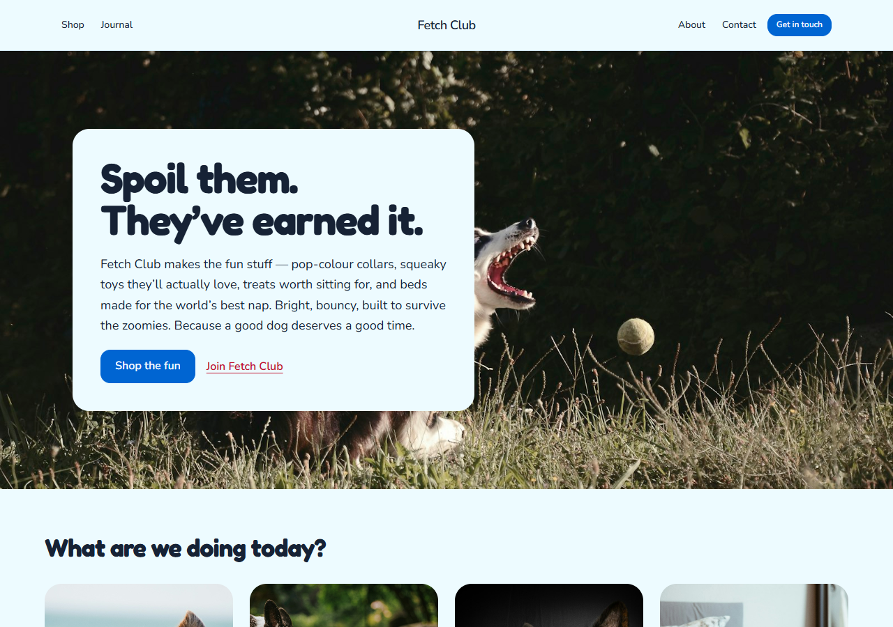 Pet Supplies (Playful) preview