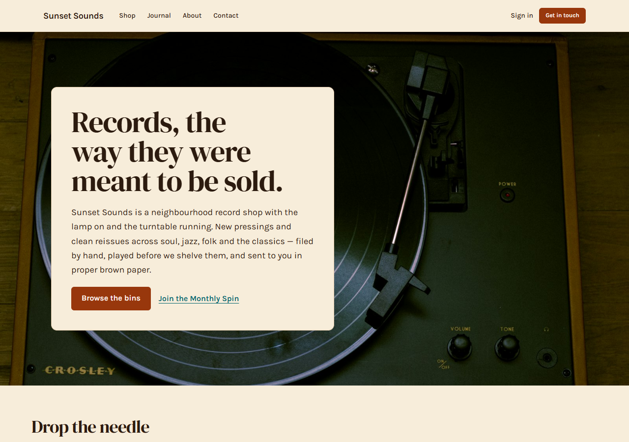 Record Shop (Vintage) preview